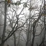 Landhaus Entrecastanos *