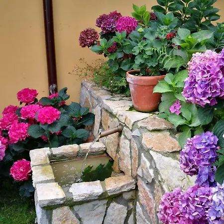 Entrecastaños Casa rural *