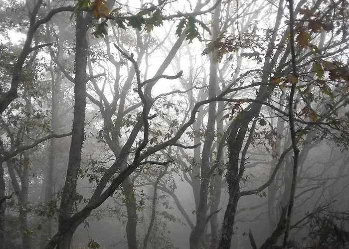 Country house Entrecastanos *