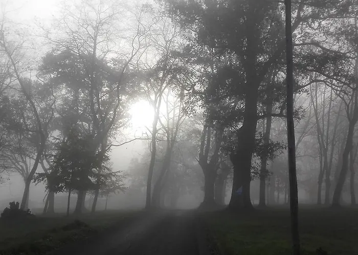 Casa rural Entrecastaños Onís