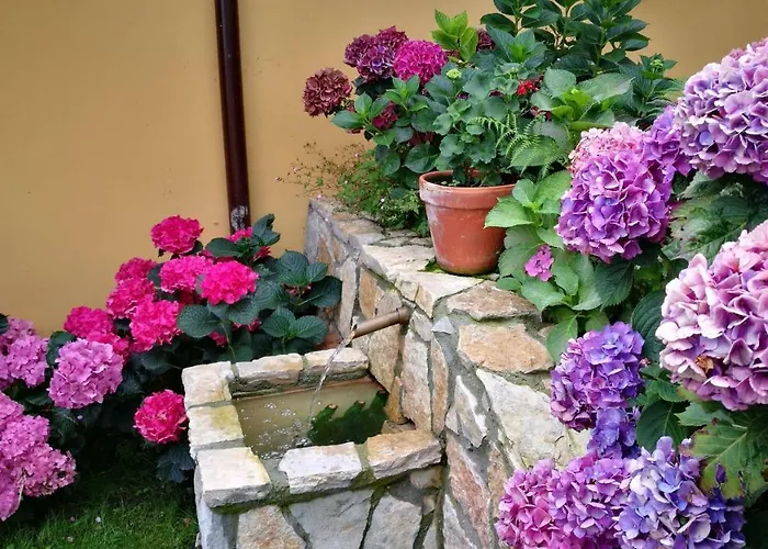 Entrecastaños Casa rural *