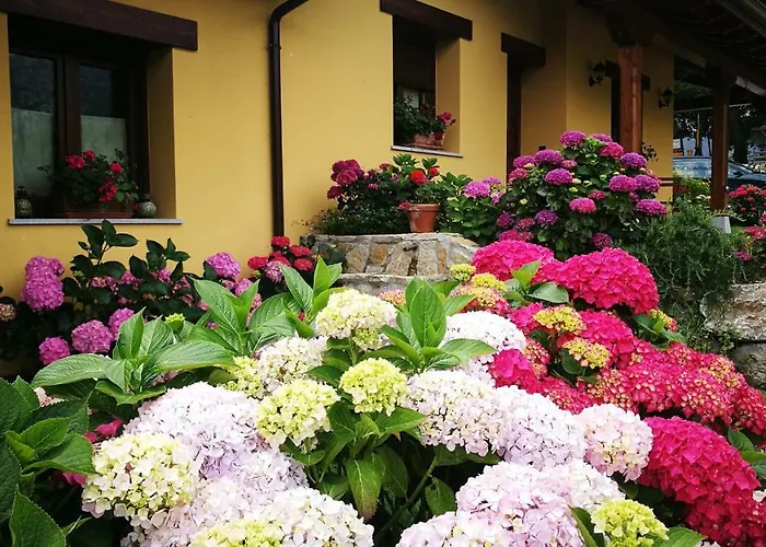 Entrecastanos Country house Cangas de Onis